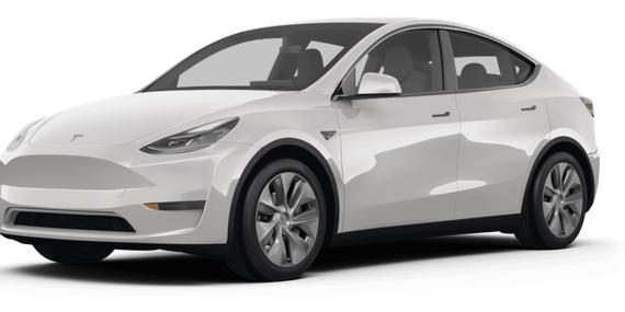 TESLA MODEL Y 2024 7SAYGDEE5RF088586 image